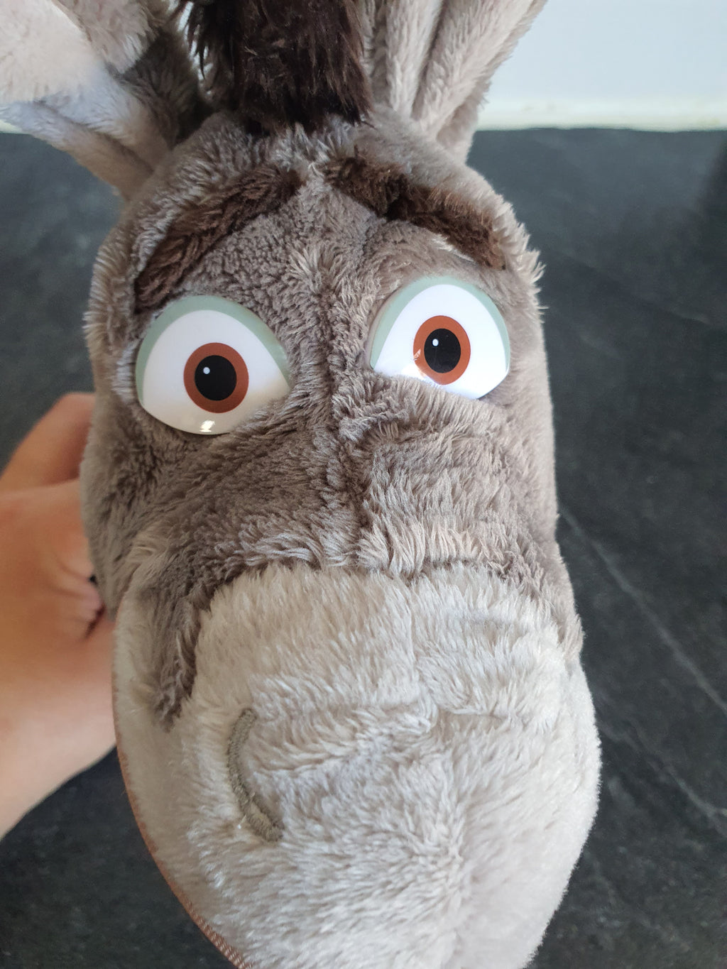 Peluche L anê dans shrek