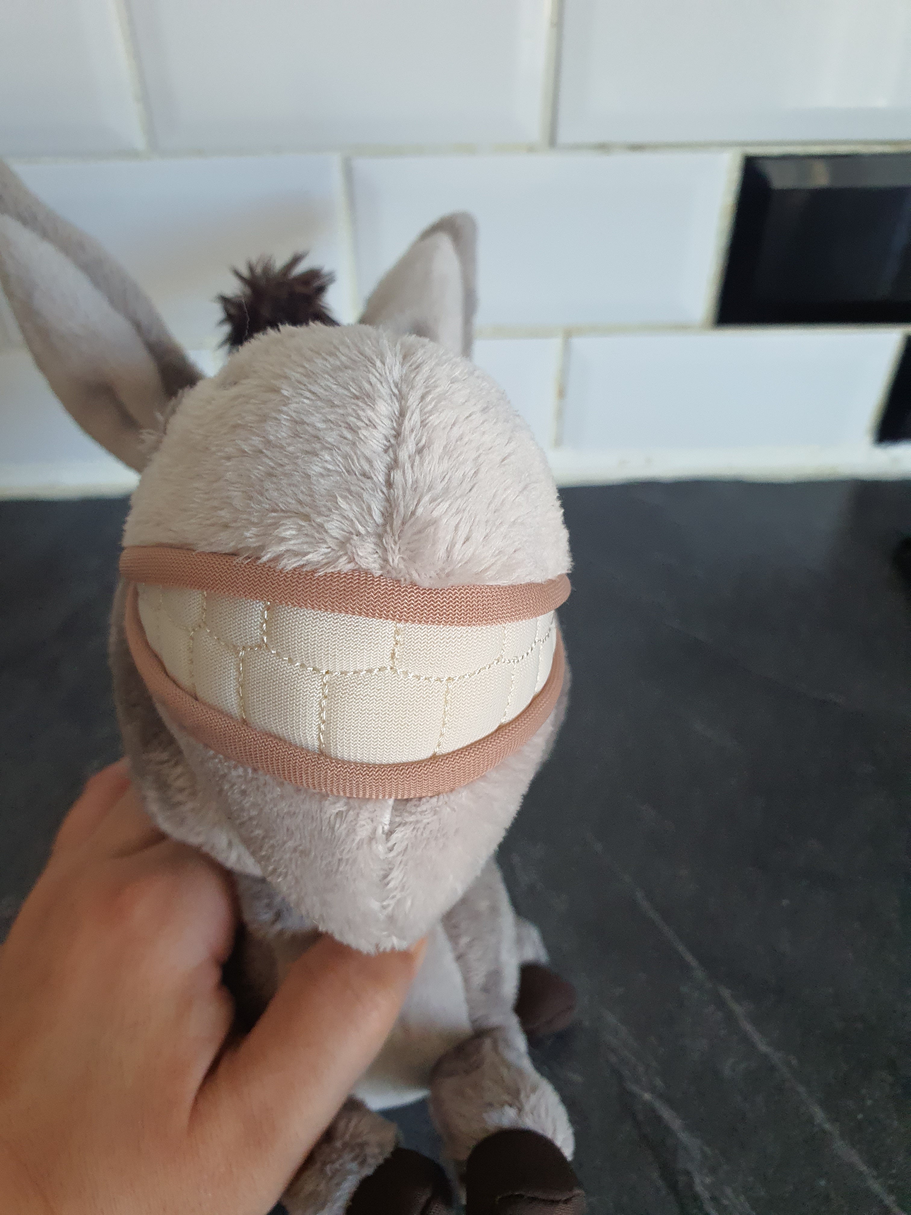 Peluche L anê dans shrek