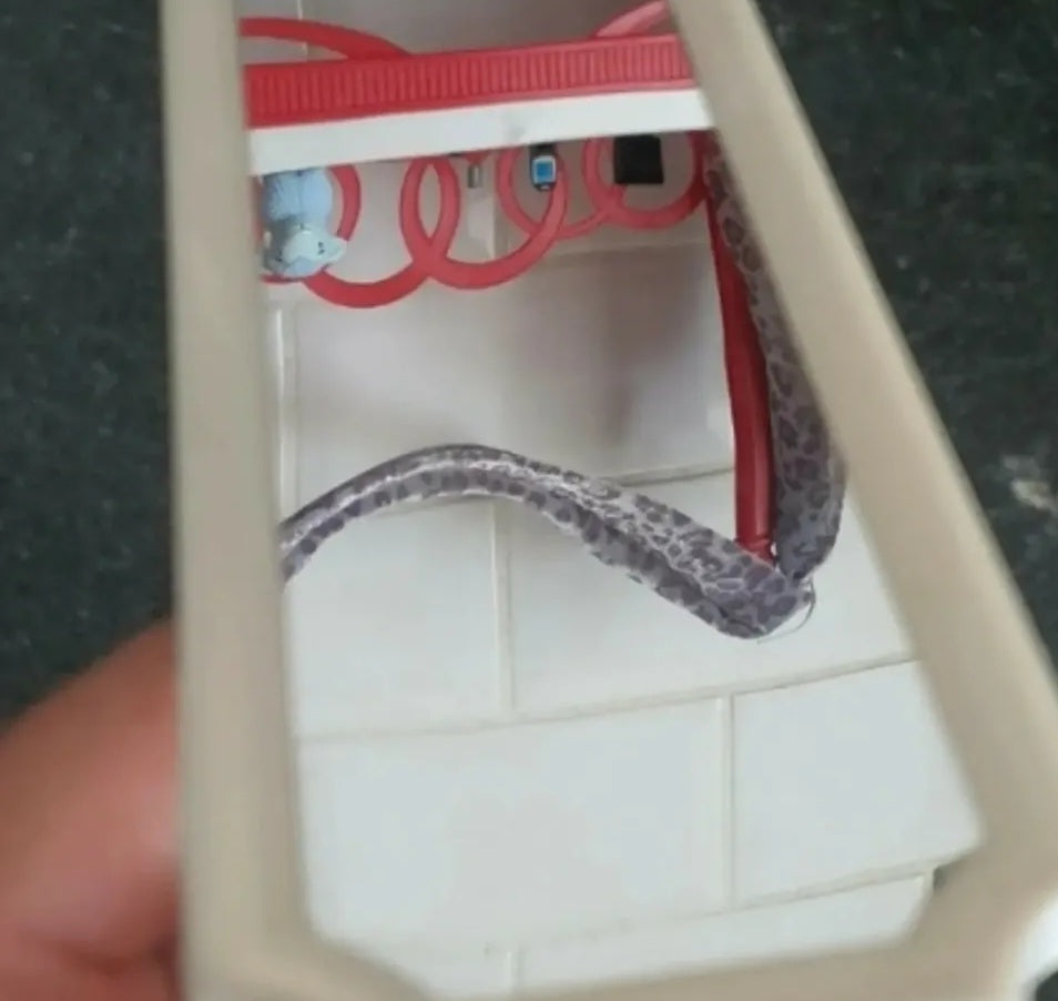 Bratz cloe bedroom